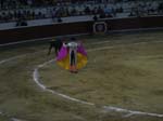 Bull-Fight-013